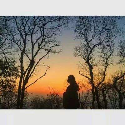 火狐体育下载app