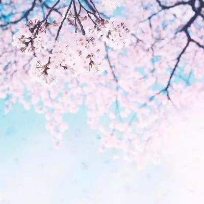 NG体育APP官方下载网址