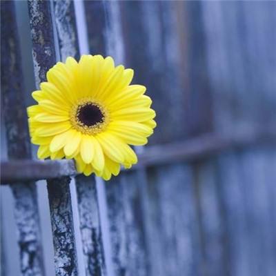 半岛平台官网入口