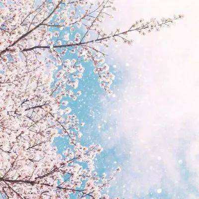 ng体育电子游戏手机app下载截图