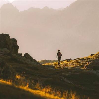 bob体肓官方网站截图