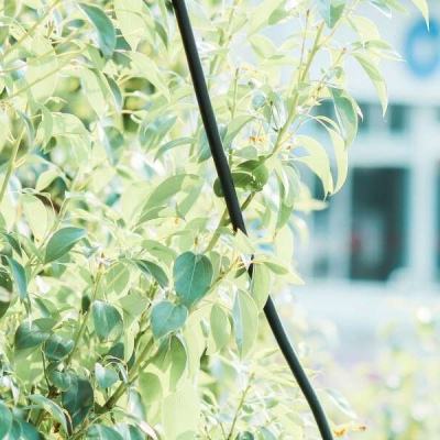 乐鱼·(LEYU)体育官方网站