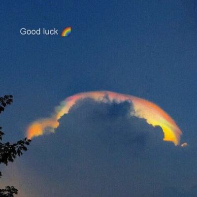 半岛官方APP入口下载手机版